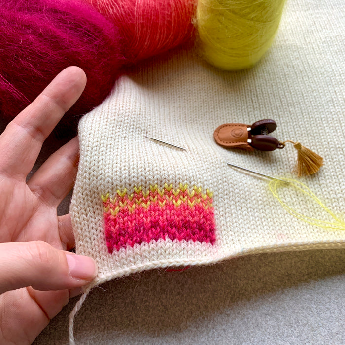 Swiss Darning - Mending mit Milli and the Bee - 1.6.24
