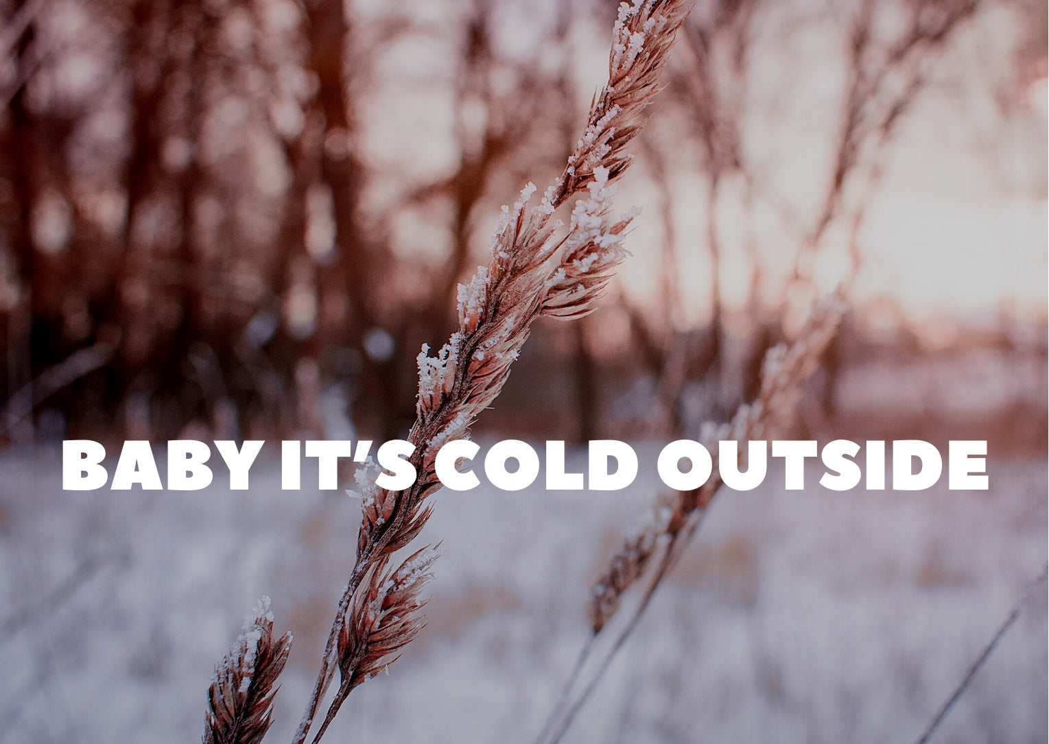 winter mood photo, text: baby it's cold outside