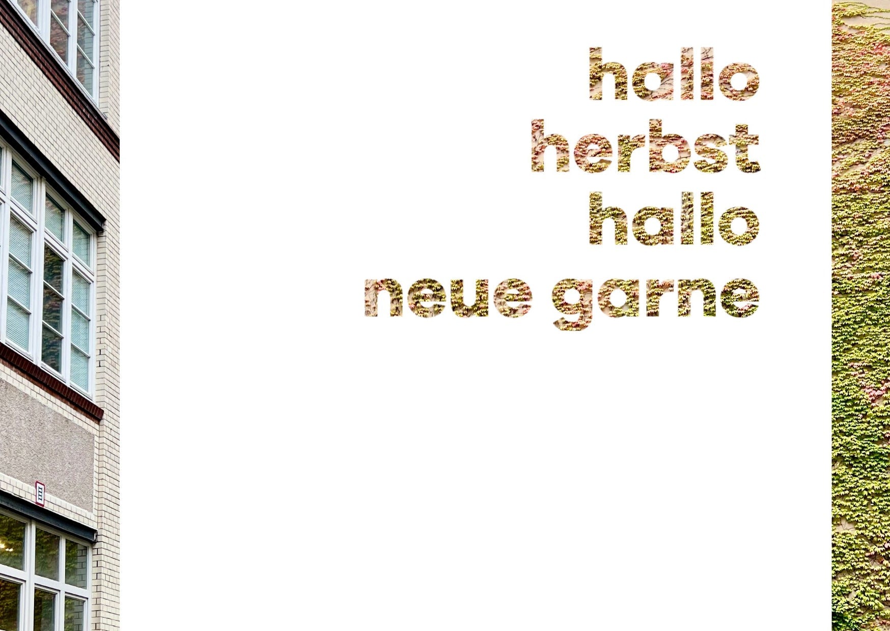 hallo herbst, hallo neue garne