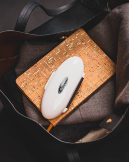 Gleener Compact - Fusselentferner mit Flusenbürste