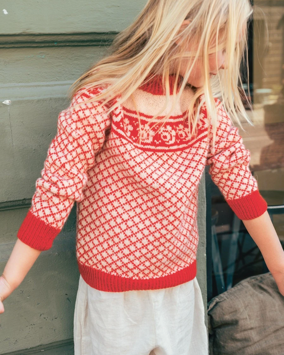 Papieranleitung -  Nr. 1 Blome Pullover Junior