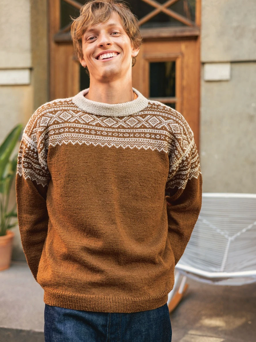 Papieranleitung - 2510 Norske ikoner voksen / Nr. 4 Marius herregenser