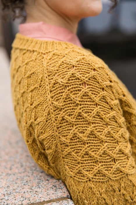 PRE-ORDER: Entwined: Cables, Lace and Knitted Textures by Meiju Kallio (Release: 30.05.25)