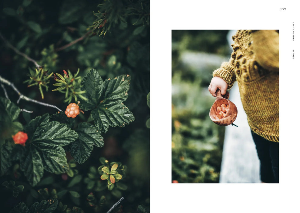 Arctic Knitting – The Magic of Nature and Colourwork