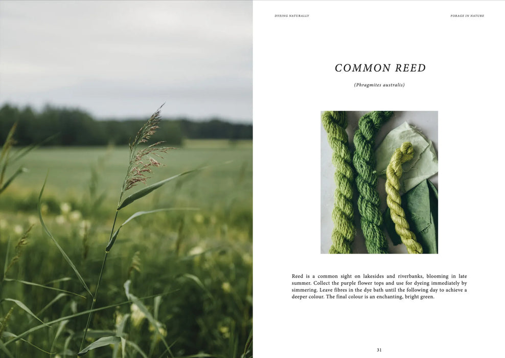 Dyeing Naturally – Emma Kylmälä