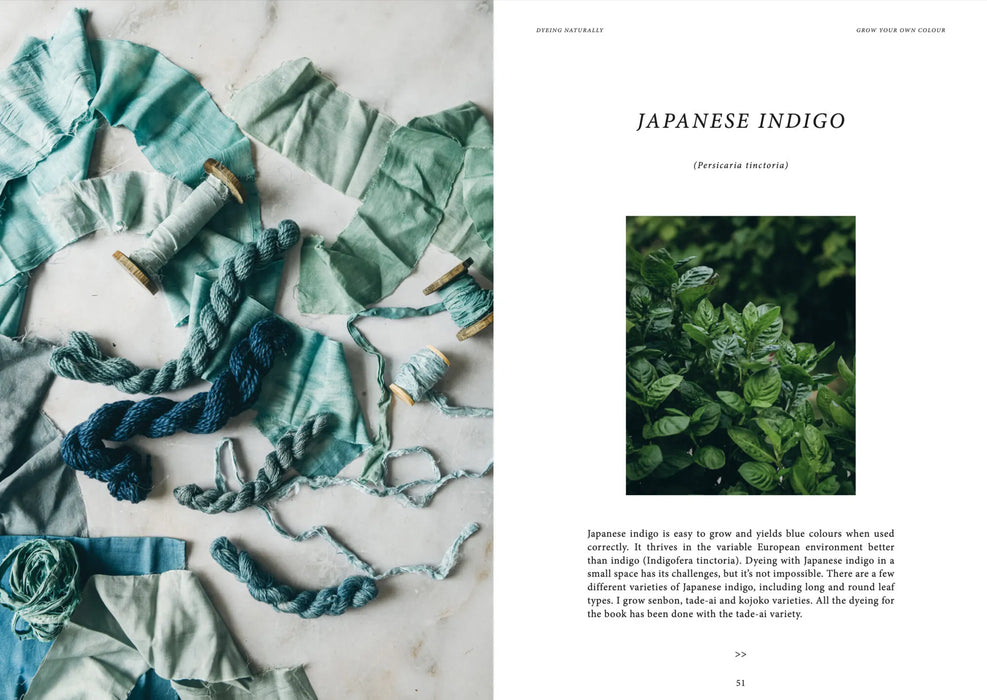 Dyeing Naturally – Emma Kylmälä