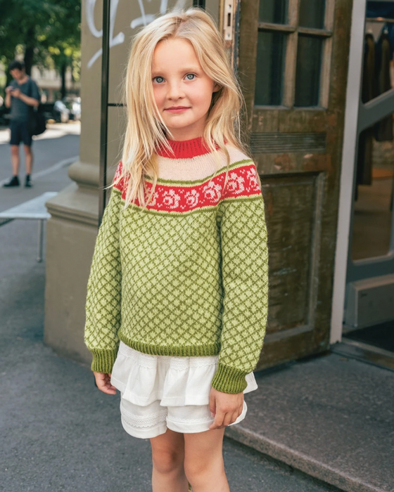 Papieranleitung -  Nr. 5 Blome Pullover Junior