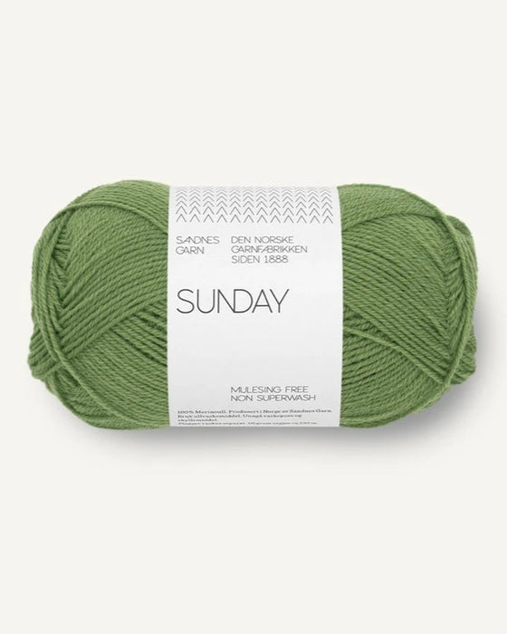 SUNDAY - reine Merinowolle